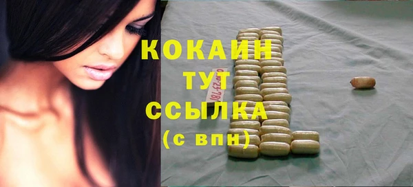 гашик Пересвет