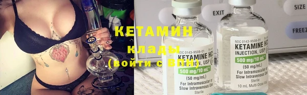 гашик Пересвет