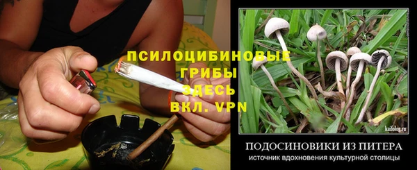скорость Баксан