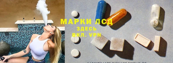 гашик Пересвет