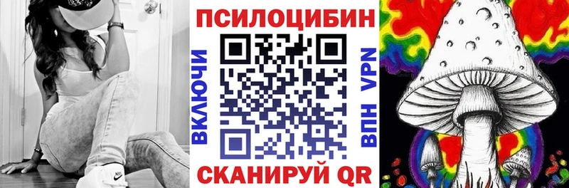 Псилоцибиновые грибы MAGIC MUSHROOMS  где найти   Сердобск 
